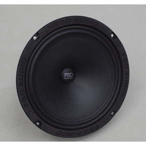 FSD audio STANDART 200C v2