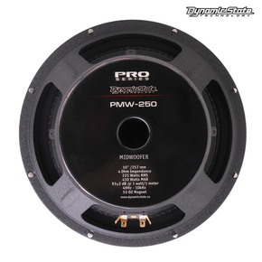 DYNAMIC STATE PRO PMW-250, ШТ