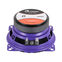 DL Audio Piranha 100 V.2